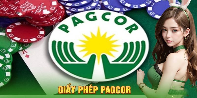 Giấy Phép Hoạt Động